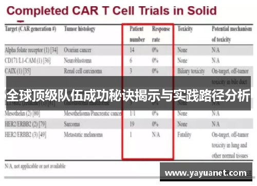 全球顶级队伍成功秘诀揭示与实践路径分析